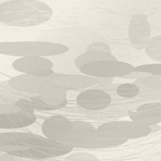 蘑菇视频公众号商务二维码